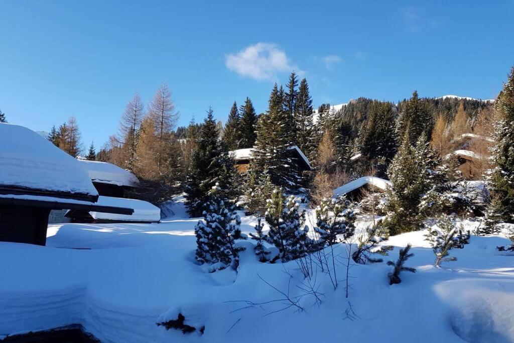 Chalet Wulli In Der Naehe Der Skianlagen Savognin Exterior foto