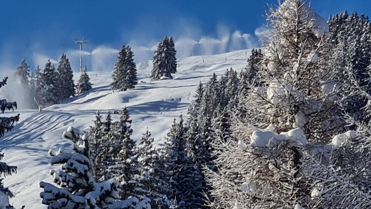 Chalet Wulli In Der Naehe Der Skianlagen Savognin Exterior foto